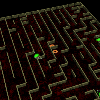 tfield-birdview-maze