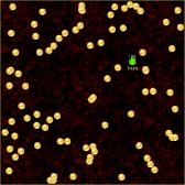 tfield-examples-cleaning-small