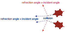 tfield-turtle-refrection