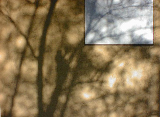 �؂Ǝ��Ɠy�̉�